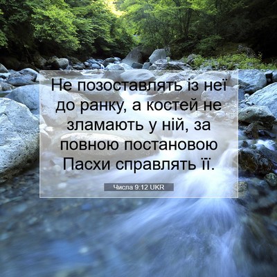 Picture 07 - Числа 9:12 UKR - Не позоставлять із неї до - Bible Verse Picture