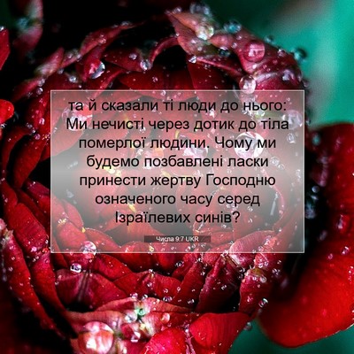 Picture 07 - Числа 9:7 UKR - та й сказали ті люди до - Bible Verse Picture