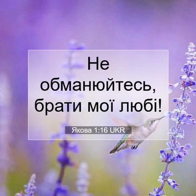 Picture 07 - Якова 1:16 UKR - Не обманюйтесь, брати мої - Bible Verse Picture