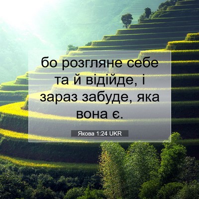 Picture 07 - Якова 1:24 UKR - бо розгляне себе та й - Bible Verse Picture