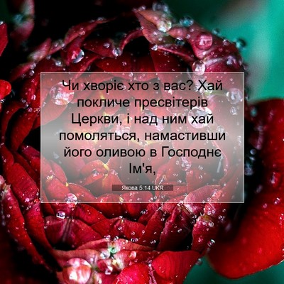 Picture 07 - Якова 5:14 UKR - Чи хворіє хто з вас? Хай - Bible Verse Picture