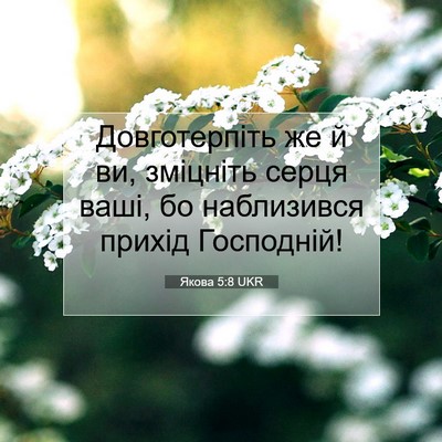 Picture 07 - Якова 5:8 UKR - Довготерпіть же й ви, - Bible Verse Picture
