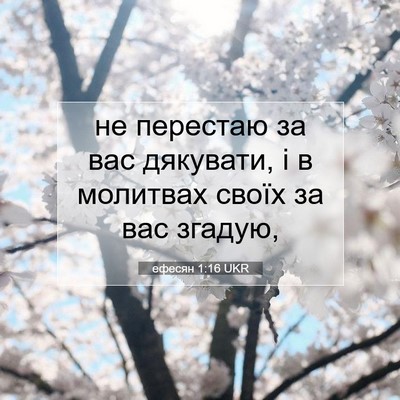 Picture 07 - ефесян 1:16 UKR - не перестаю за вас - Bible Verse Picture