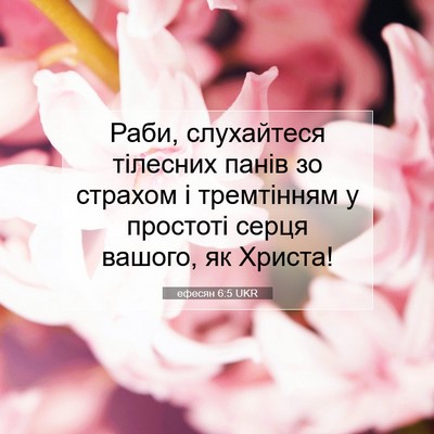 Picture 07 - ефесян 6:5 UKR - Раби, слухайтеся тілесних - Bible Verse Picture