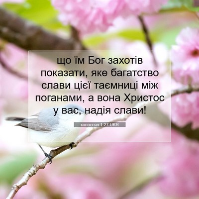 Picture 07 - колоссян 1:27 UKR - що їм Бог захотів показати, - Bible Verse Picture