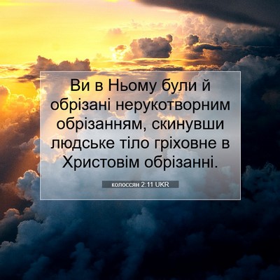 Picture 07 - колоссян 2:11 UKR - Ви в Ньому були й обрізані - Bible Verse Picture