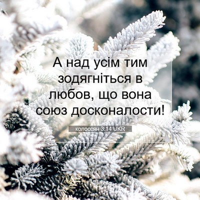 Picture 07 - колоссян 3:14 UKR - А над усім тим зодягніться - Bible Verse Picture