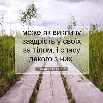 Picture 07 - римлян 11:14 UKR - може як викличу заздрість - Bible Verse Picture