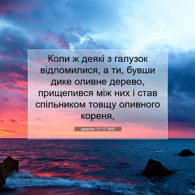 Picture 07 - римлян 11:17 UKR - Коли ж деякі з галузок - Bible Verse Picture