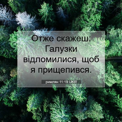 Picture 07 - римлян 11:19 UKR - Отже скажеш: Галузки - Bible Verse Picture