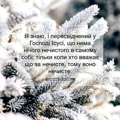 Picture 07 - римлян 14:14 UKR - Я знаю, і пересвідчений у - Bible Verse Picture