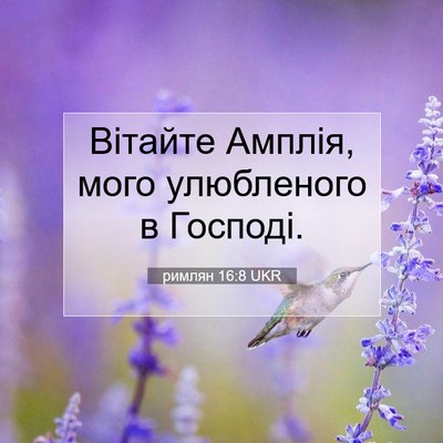 Picture 07 - римлян 16:8 UKR - Вітайте Амплія, мого - Bible Verse Picture