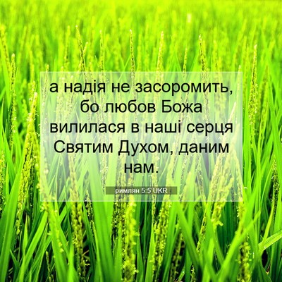Picture 07 - римлян 5:5 UKR - а надія не засоромить, бо - Bible Verse Picture