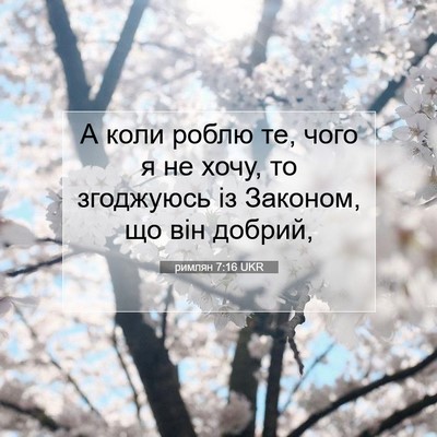 Picture 07 - римлян 7:16 UKR - А коли роблю те, чого я не - Bible Verse Picture
