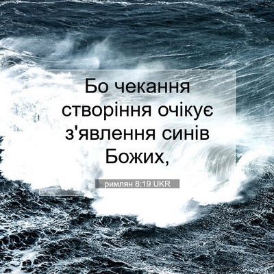 Picture 07 - римлян 8:19 UKR - Бо чекання створіння - Bible Verse Picture