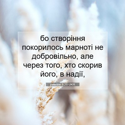 Picture 07 - римлян 8:20 UKR - бо створіння покорилось - Bible Verse Picture