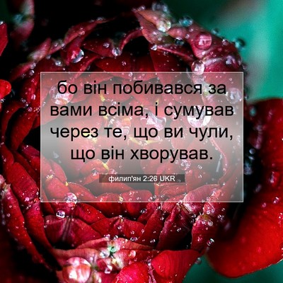 Picture 07 - филип'ян 2:26 UKR - бо він побивався за вами - Bible Verse Picture