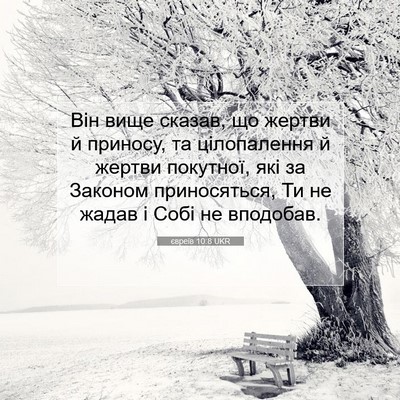 Picture 07 - євреїв 10:8 UKR - Він вище сказав, що жертви - Bible Verse Picture