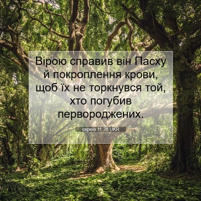 Picture 07 - євреїв 11:28 UKR - Вірою справив він Пасху й - Bible Verse Picture