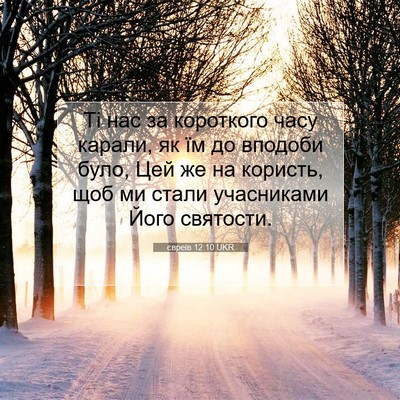 Picture 07 - євреїв 12:10 UKR - Ті нас за короткого часу - Bible Verse Picture
