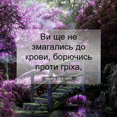Picture 07 - євреїв 12:4 UKR - Ви ще не змагались до - Bible Verse Picture