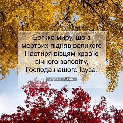 Picture 07 - євреїв 13:20 UKR - Бог же миру, що з мертвих - Bible Verse Picture