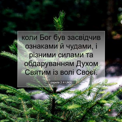 Picture 07 - євреїв 2:4 UKR - коли Бог був засвідчив - Bible Verse Picture