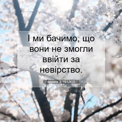 Picture 07 - євреїв 3:19 UKR - І ми бачимо, що вони не - Bible Verse Picture