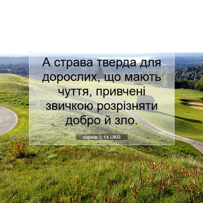 Picture 07 - євреїв 5:14 UKR - А страва тверда для - Bible Verse Picture