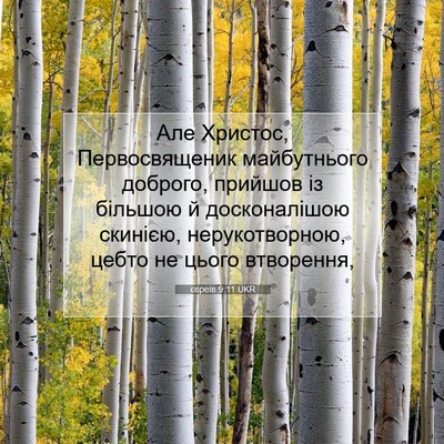 Picture 07 - євреїв 9:11 UKR - Але Христос, Первосвященик - Bible Verse Picture