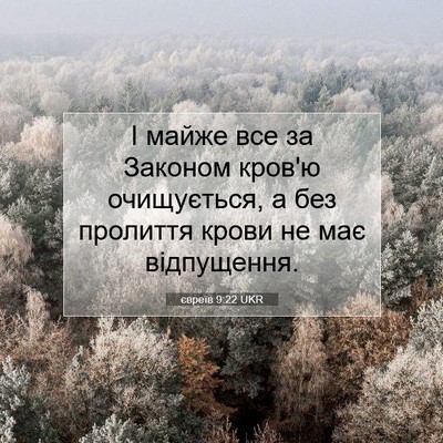 Picture 07 - євреїв 9:22 UKR - І майже все за Законом - Bible Verse Picture