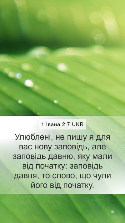 1 Івана 2:7 UKR Bible Verse Image