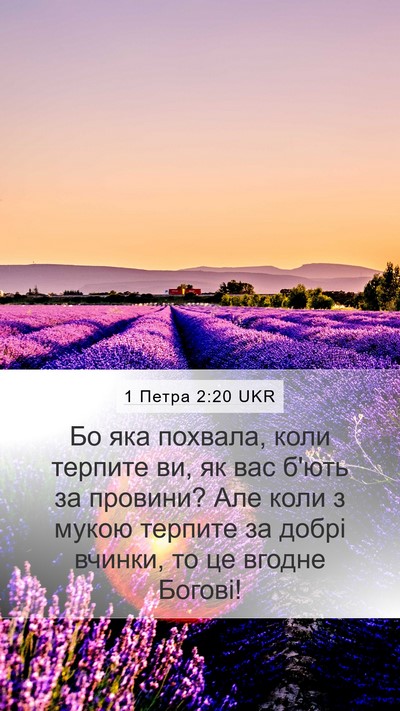 1 Петра 2:20 UKR Bible Verse Image