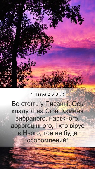 1 Петра 2:6 UKR Bible Verse Image