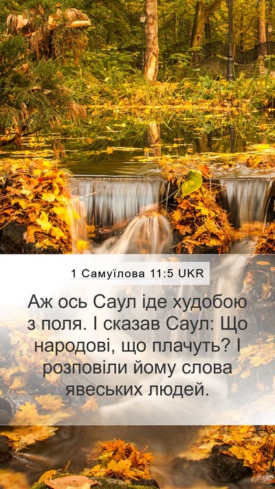 1 Самуїлова 11:5 UKR Bible Verse Image
