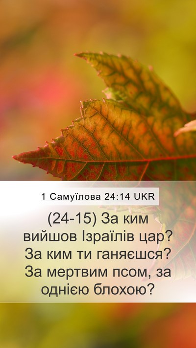 1 Самуїлова 24:14 UKR Bible Verse Image