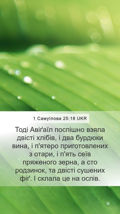 1 Самуїлова 25:18 UKR Bible Verse Image
