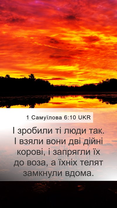 1 Самуїлова 6:10 UKR Mobile Phone Wallpaper - І зробили ті люди так. І - Mobile Bible Verse Wallpaper