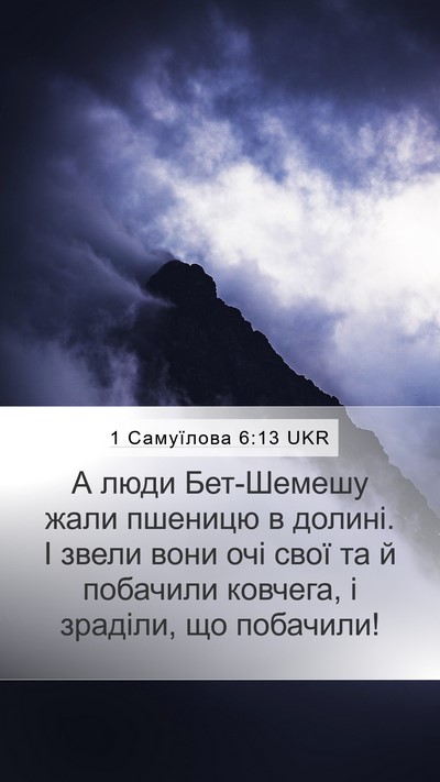 1 Самуїлова 6:13 UKR Mobile Phone Wallpaper - А люди Бет-Шемешу жали - Mobile Bible Verse Wallpaper