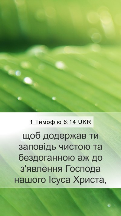 1 Тимофію 6:14 UKR Bible Verse Image