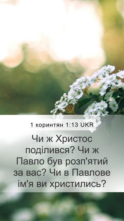 1 коринтян 1:13 UKR Bible Verse Image