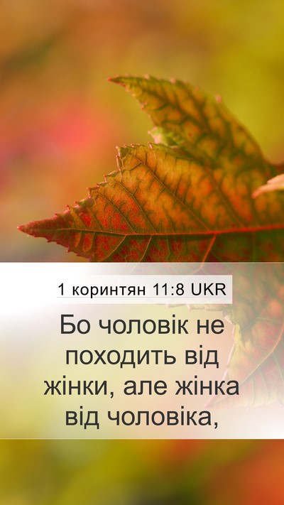 1 коринтян 11:8 UKR Bible Verse Image