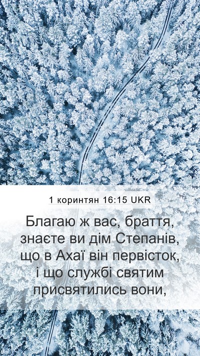 1 коринтян 16:15 UKR Bible Verse Image