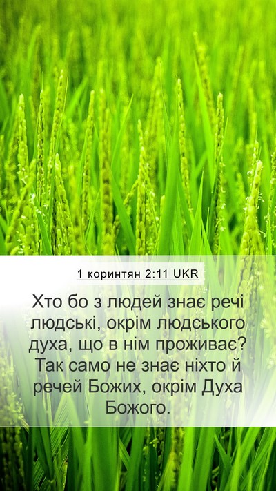 1 коринтян 2:11 UKR Bible Verse Image
