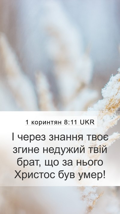 1 коринтян 8:11 UKR Bible Verse Image