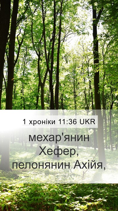 1 хроніки 11:36 UKR Mobile Phone Wallpaper - мехар'янин Хефер, - Mobile Bible Verse Wallpaper