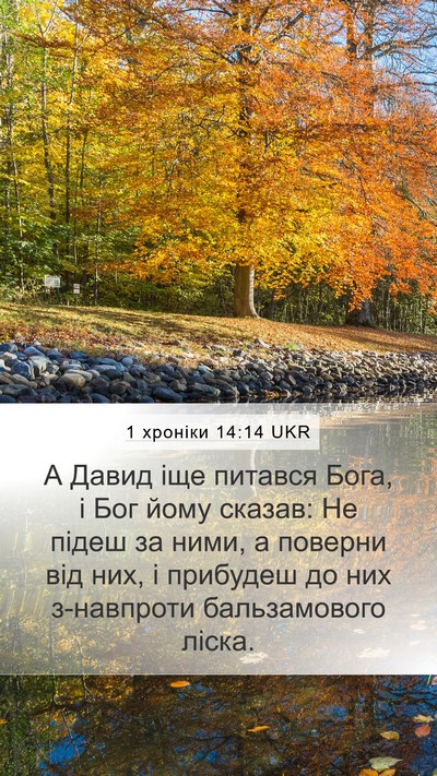 1 хроніки 14:14 UKR Bible Verse Image