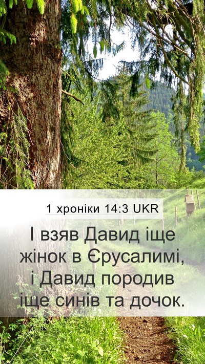 1 хроніки 14:3 UKR Bible Verse Image