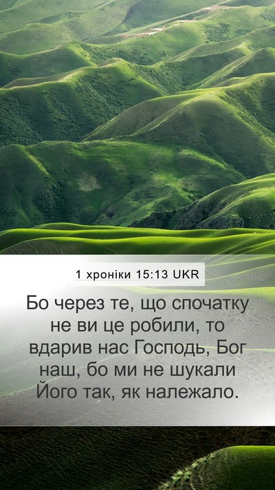 1 хроніки 15:13 UKR Bible Verse Image