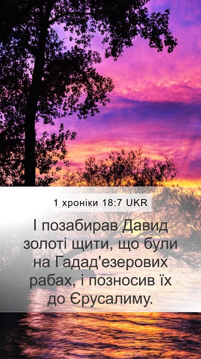 1 хроніки 18:7 UKR Bible Verse Image